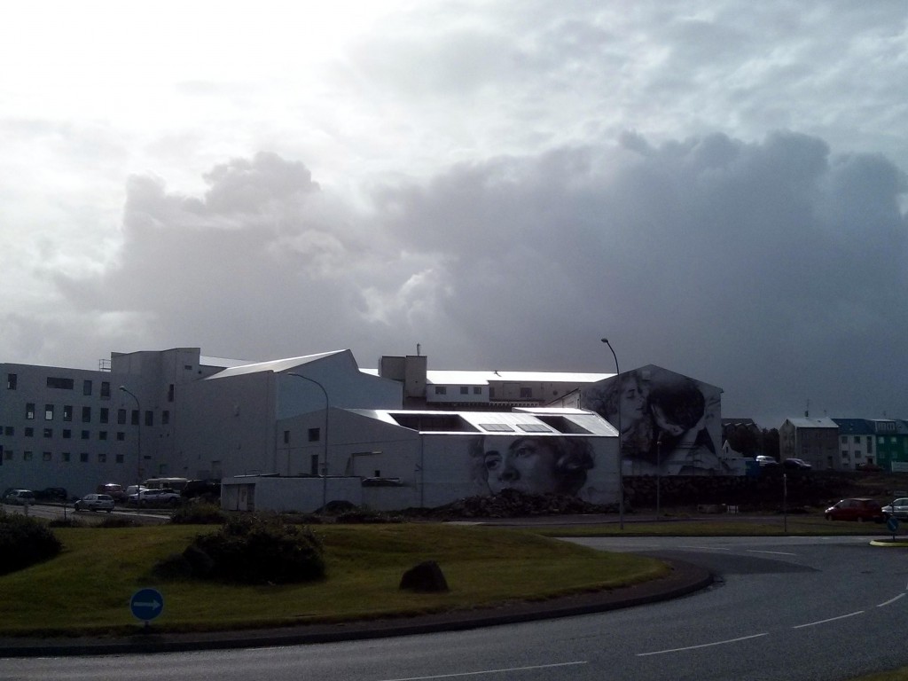 Eine Woche in Island reicht um die schönen Ecken des Hafen in Reykjavik zu besuchen