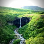Wasserfall in Island: Svartifoss