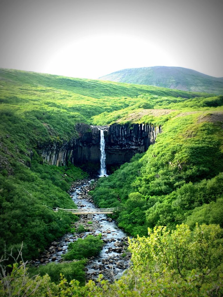 Wasserfall in Island: Svartifoss