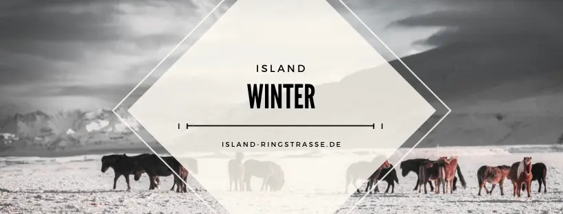 Island im Winter