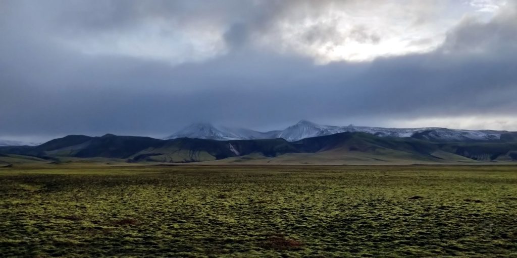 Ein Lavafeld bei Landmannalaugar